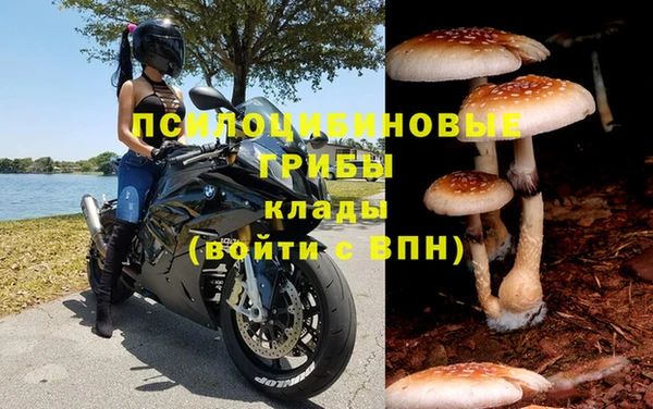 героин Алзамай