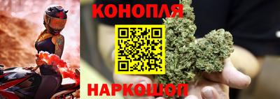тгк Пенза