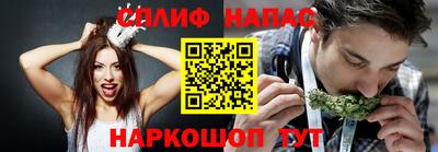 тгк Пенза