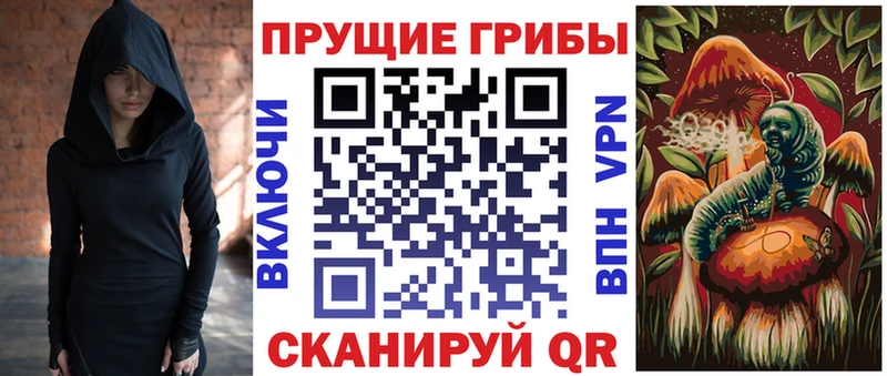 цена   Арзамас  blacksprut ссылки  Псилоцибиновые грибы GOLDEN TEACHER 