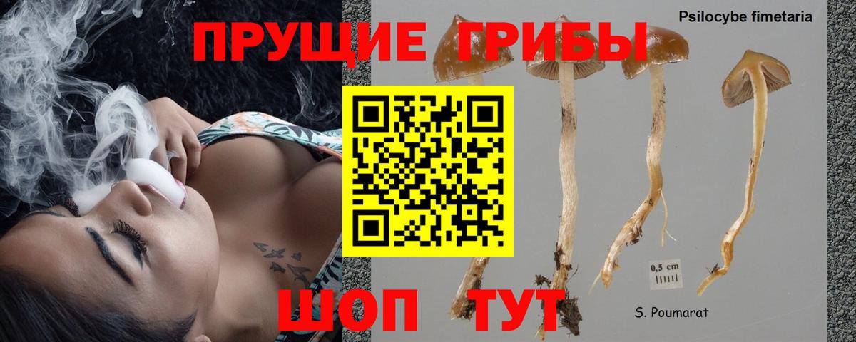 Арзамас  Псилоцибиновые грибы ЛСД  как найти закладки  Вход с VPN  Галлюциногенные грибы мухоморы 